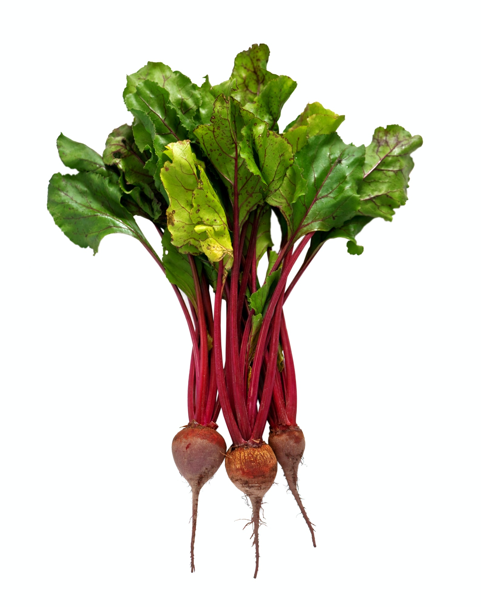 beet